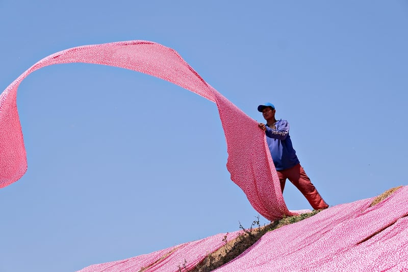 Textile Transformations